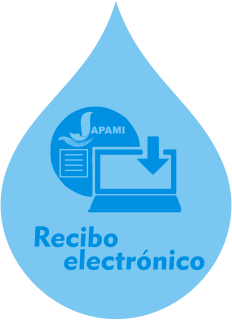 Recibo Electronico.png